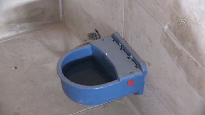 Gaziantep'teki 5 bin hayvan kapasiteli barınak, 2 ay sonra hizmete hazır