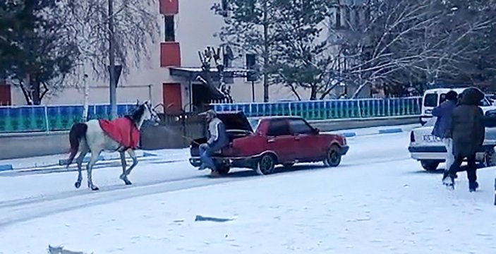 Erzurum'da köpekten korkan atlar 25 kilometre koştu