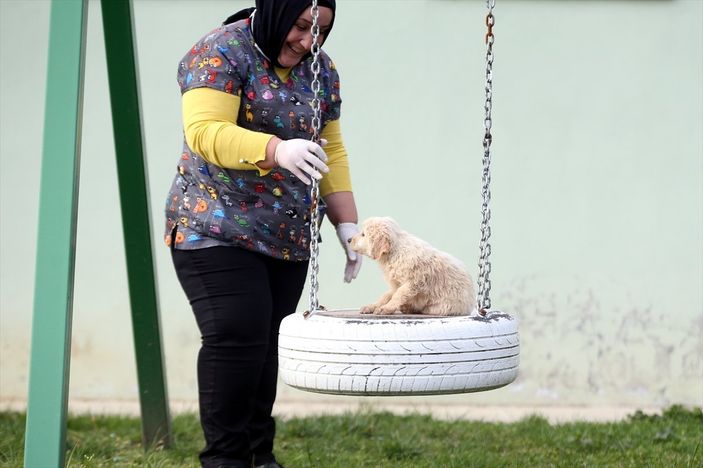 Düzce'de sokak hayvanları için 10 bin metrekarelik açık yaşam alanı