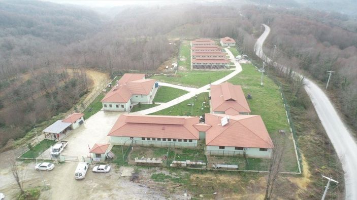 Düzce'de sokak hayvanları için 10 bin metrekarelik açık yaşam alanı