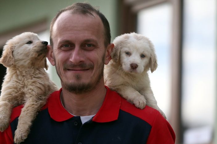 Düzce'de sokak hayvanları için 10 bin metrekarelik açık yaşam alanı