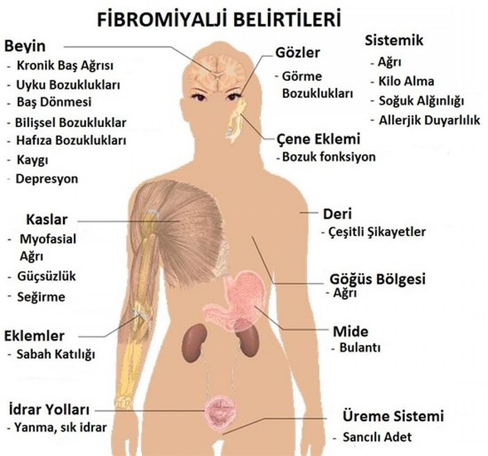 Akdeniz ateşi nedir