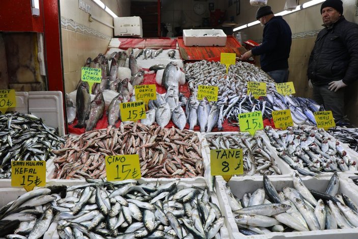 Karadeniz’de en ucuz balığın kilosu 10, en pahalı balığın kilosu 250 TL