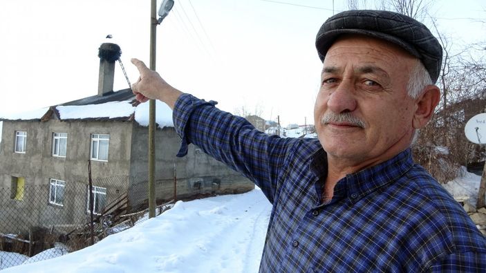 İ Hakkari'de göç etmeyen leylek köyün maskotu oldu