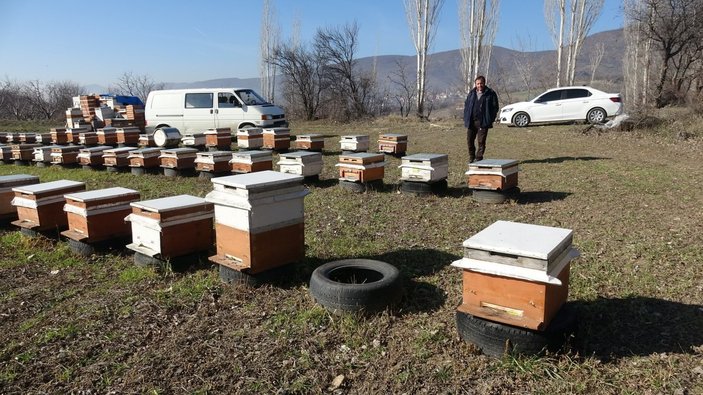 Tokat'ta kovandaki arıları çaldılar