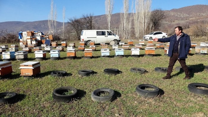 Tokat'ta kovandaki arıları çaldılar