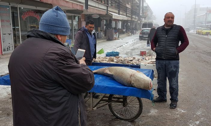 Erzincan’da balıkçılar, 70 kiloluk turna balığı yakaladı