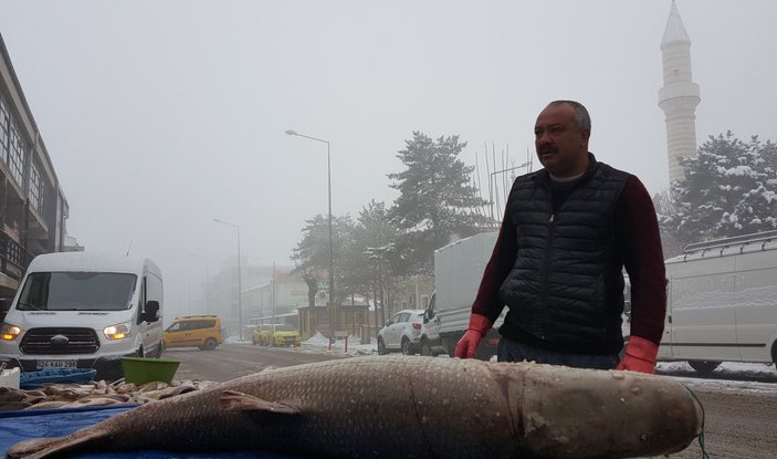 Erzincan’da balıkçılar, 70 kiloluk turna balığı yakaladı