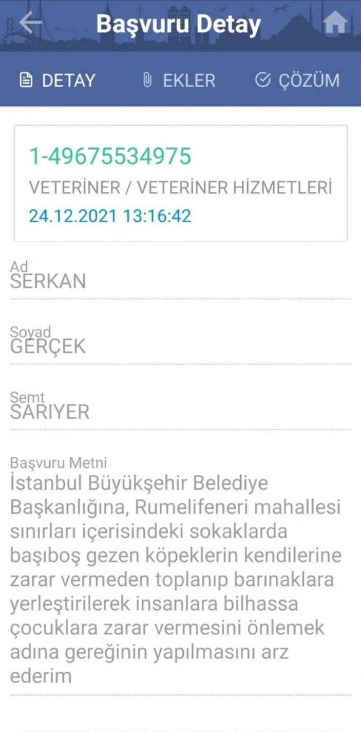 Sarıyer'e araçlarla terk edilen köpekler, mahalleliyi ürkütüyor