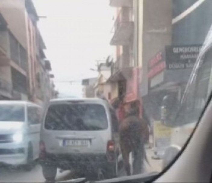 İzmir'de bir kişi, atı iple aracın arkasına bağlayıp yürüttü