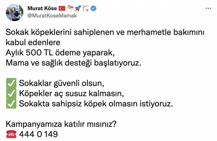 Mamak'ta sokak hayvanlarını sahiplenenlere maddi destek