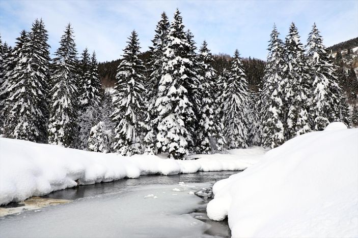 A Rize'de beyaza bürünen milli parkta görsel şölen