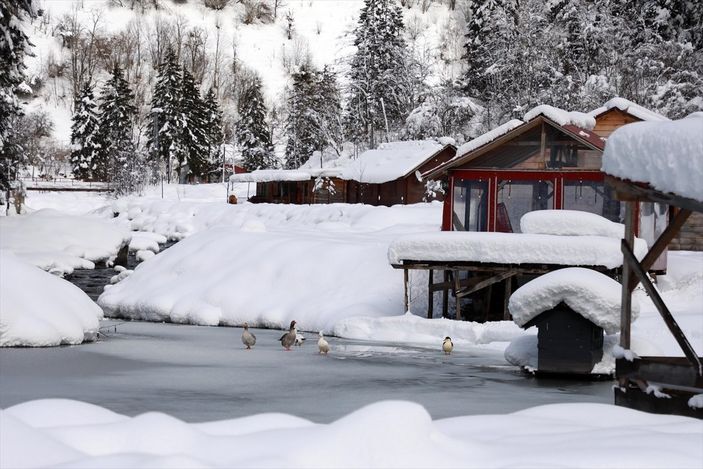 A Rize'de beyaza bürünen milli parkta görsel şölen