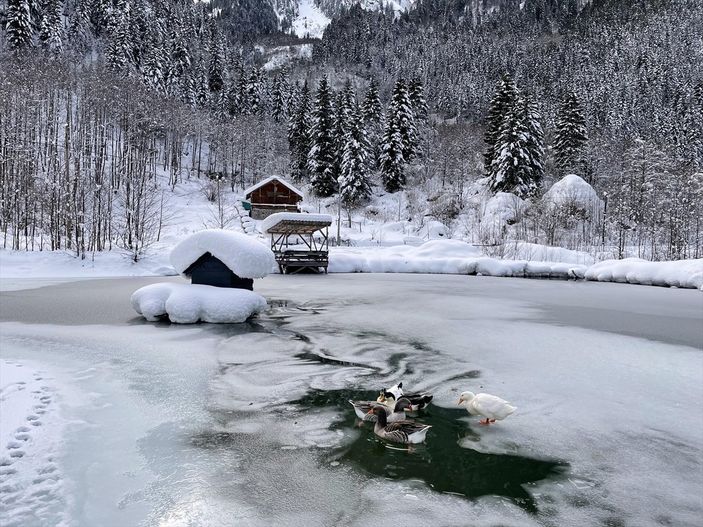 A Rize'de beyaza bürünen milli parkta görsel şölen