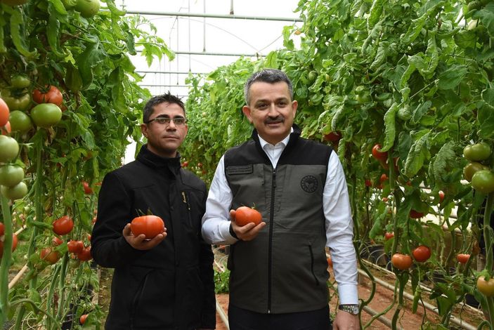 d Bekir Pakdemirli: Seralarda üretim arttığında fiyatlardaki dalgalanma azalacak