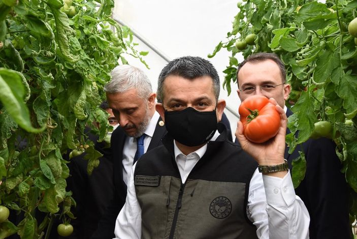 d Bekir Pakdemirli: Seralarda üretim arttığında fiyatlardaki dalgalanma azalacak