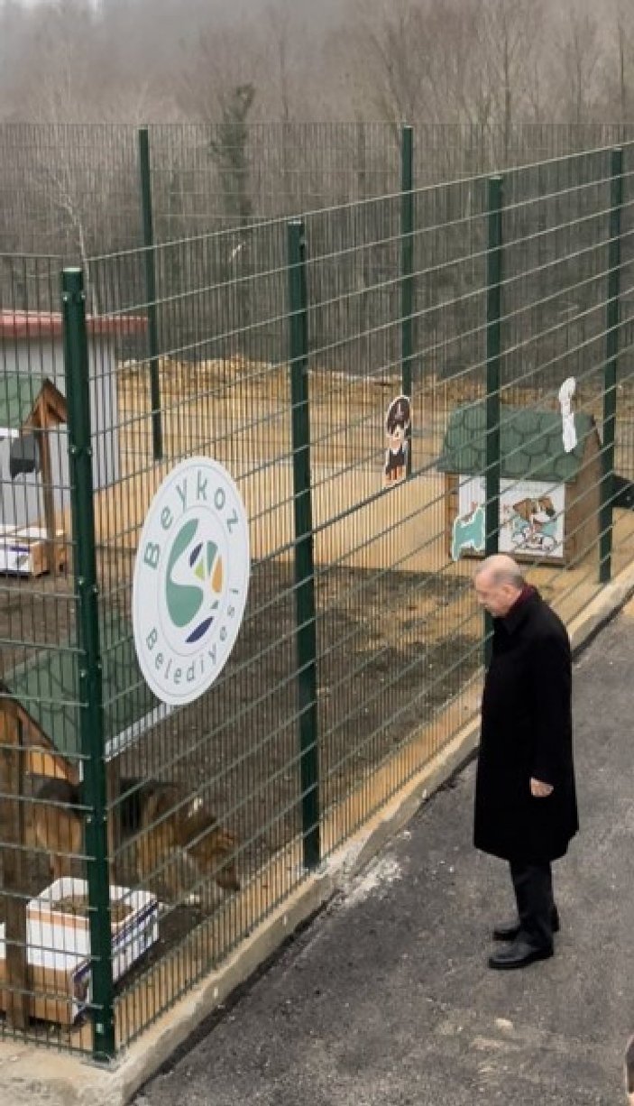 Cumhurbaşkanı Erdoğan, hayvan barınağını ziyaret etti