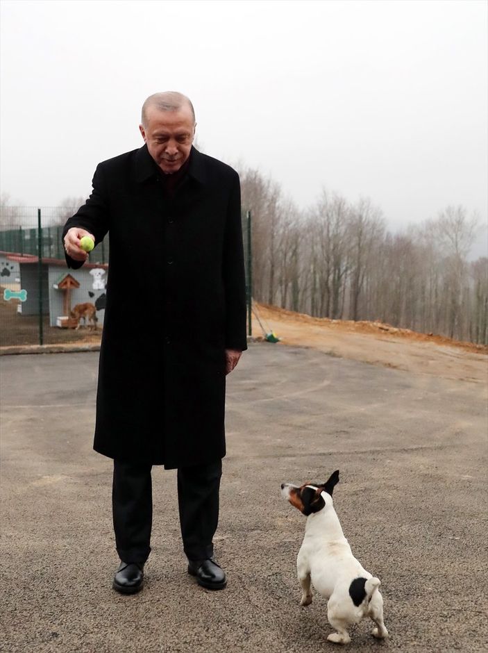 a Mustafa Varank'tan Nevşin Mengü'ye: Müzmin muhaliflik dünyanın en amansız hastalığı