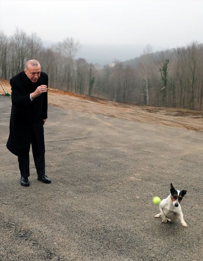 a Mustafa Varank'tan Nevşin Mengü'ye: Müzmin muhaliflik dünyanın en amansız hastalığı