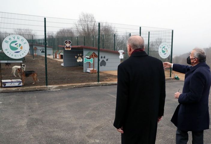 a Mustafa Varank'tan Nevşin Mengü'ye: Müzmin muhaliflik dünyanın en amansız hastalığı