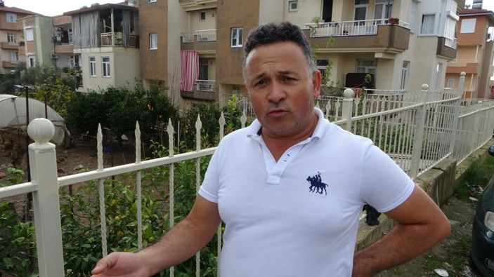 Antalya’da, sokak köpekleri tavukları telef etti