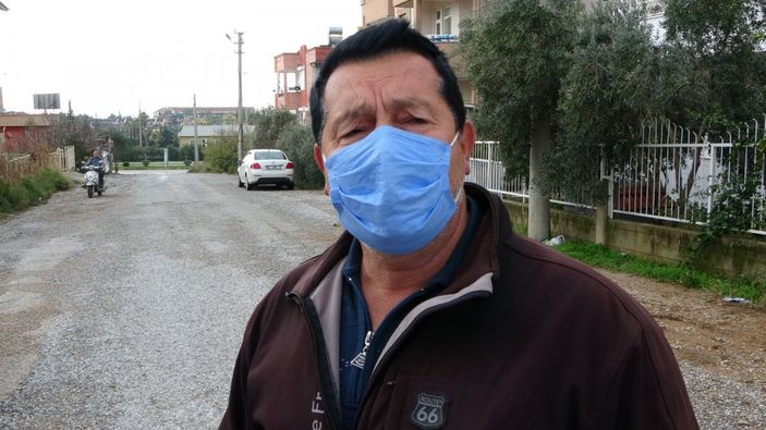 Antalya’da, sokak köpekleri tavukları telef etti