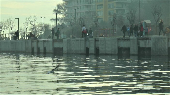 Kurbağalıdere’de tonlarca ağırlıktaki beton plakalar suya düştü