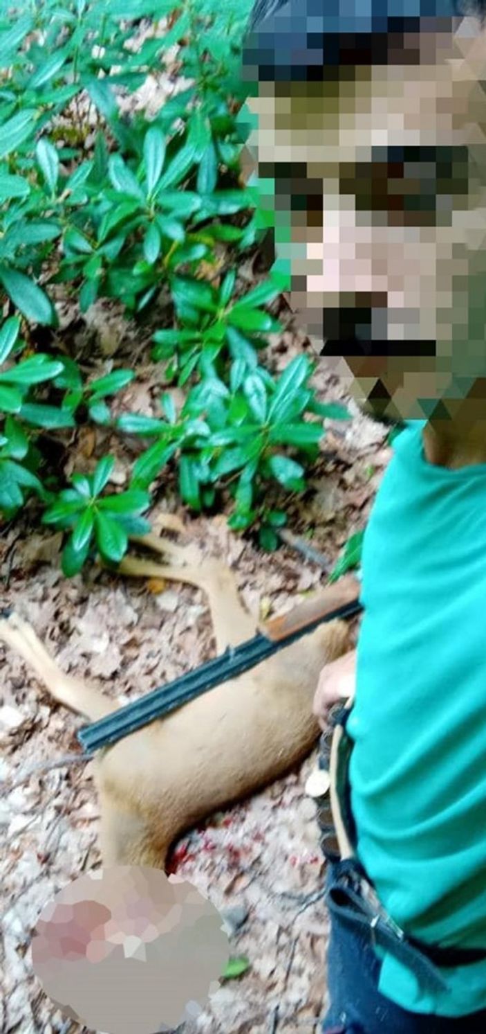 D Düzce'de karaca avlayıp sosyal medyada paylaştı: 12 bin lira ceza