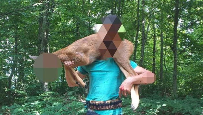 D Düzce'de karaca avlayıp sosyal medyada paylaştı: 12 bin lira ceza