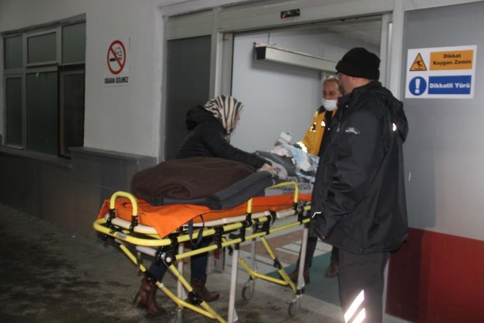 Erzincan'da sokak köpekleri çocuğa saldırdı