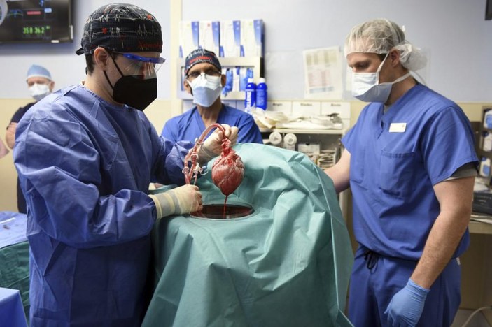 ABD'de domuzdan insana kalp nakli gerçekleştirildi