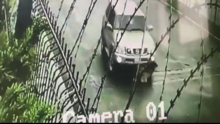 İstanbul'da köpek ezen sürücüye evinin önünde protesto