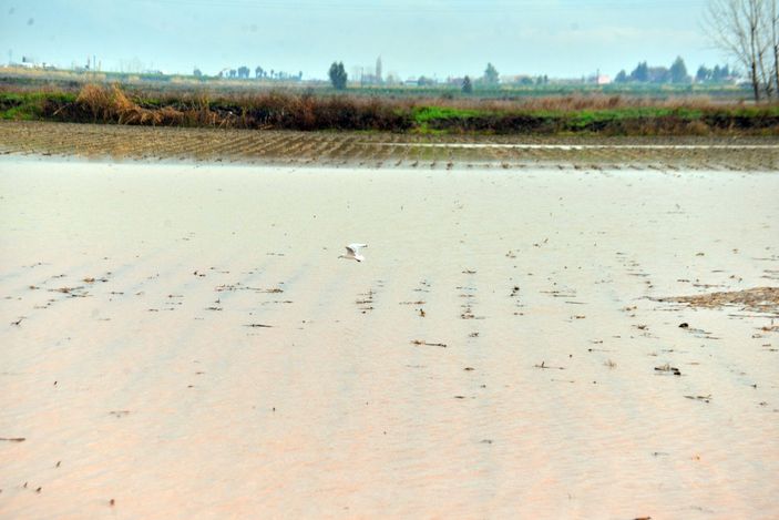 Adana’da tarım arazileri sular altında kaldı