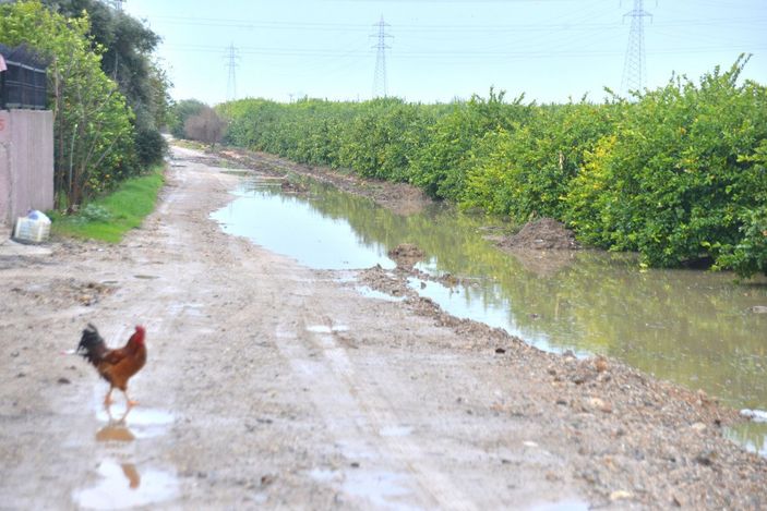 Adana’da tarım arazileri sular altında kaldı