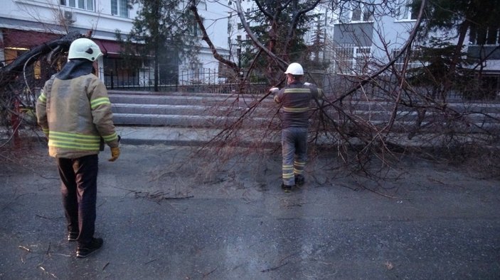 Kadıköy'de fırtına, ağaç ve elektrik direğini devirdi