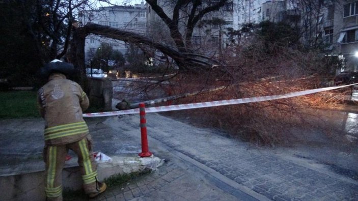 Kadıköy'de fırtına, ağaç ve elektrik direğini devirdi