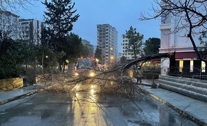 Kadıköy'de fırtına, ağaç ve elektrik direğini devirdi