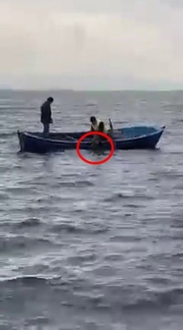Sakarya'da gölün ortasındaki köpeği balıkçılar kurtardı