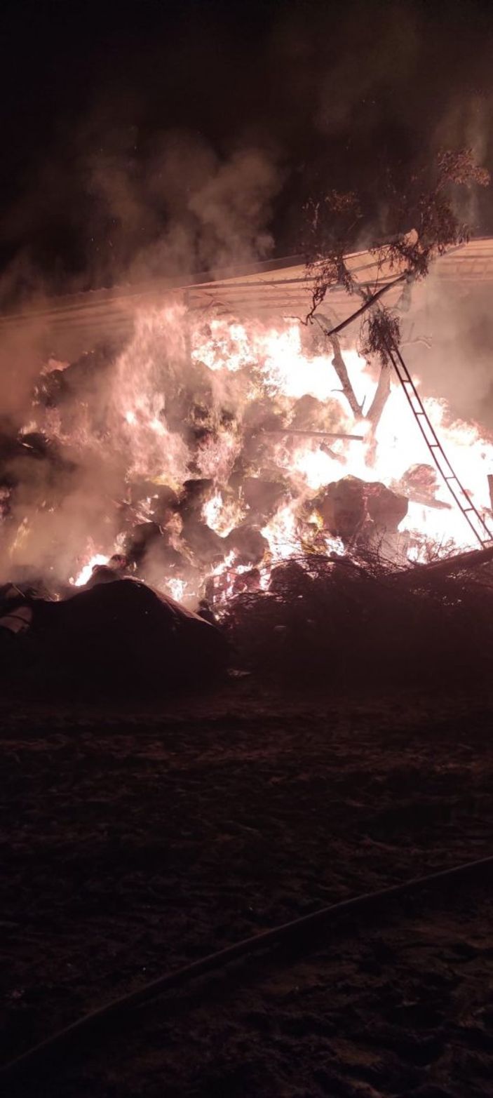 Aydın'da hayvan damında çıkan yangın kontrol altına alındı