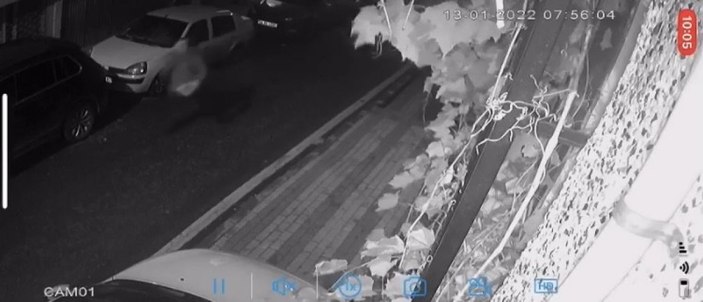 Üsküdar’da, pitbull zannedip otizmli çocuğun köpeğini vurdular