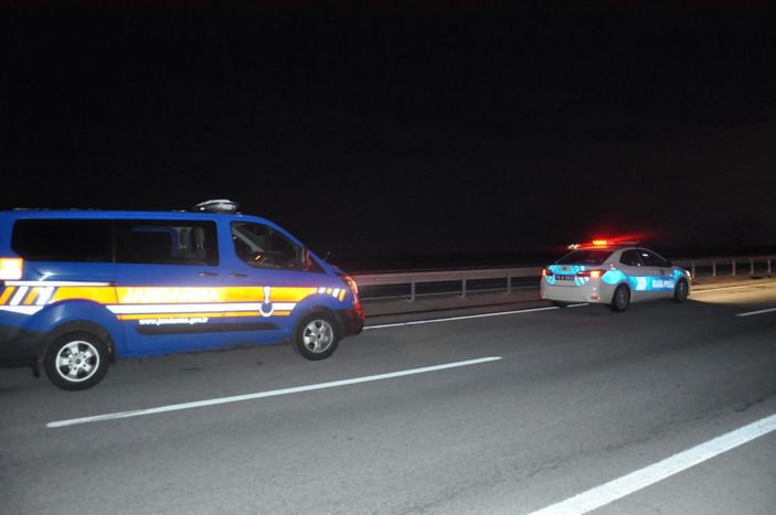 Karaman'da yola atlayan kedi kazaya neden oldu: 1 ölü, 3 yaralı