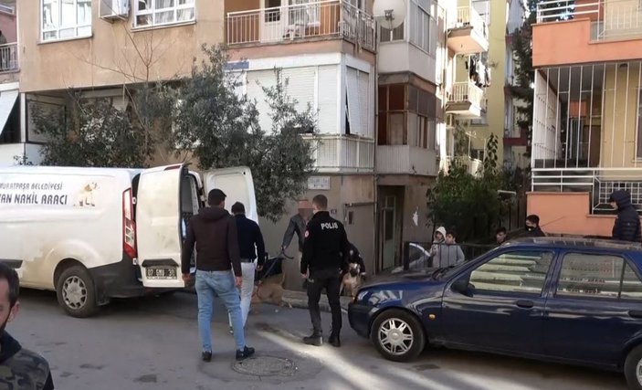 Antalya’da 45 yaşındaki kadın 2 pitbullun saldırısına uğradı