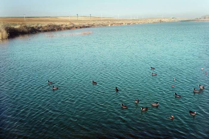 Konya Ovası'nın kuraklıktan etkilenmeyen gölü koruma altında