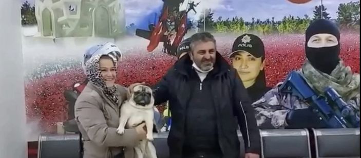 i Beşiktaş'ta 'Gorbi' isimli köpeği çalan şüpheliler yakalandı