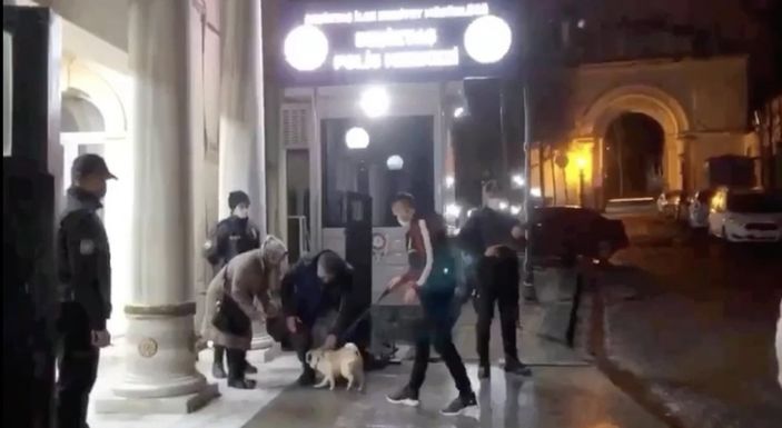 i Beşiktaş'ta 'Gorbi' isimli köpeği çalan şüpheliler yakalandı