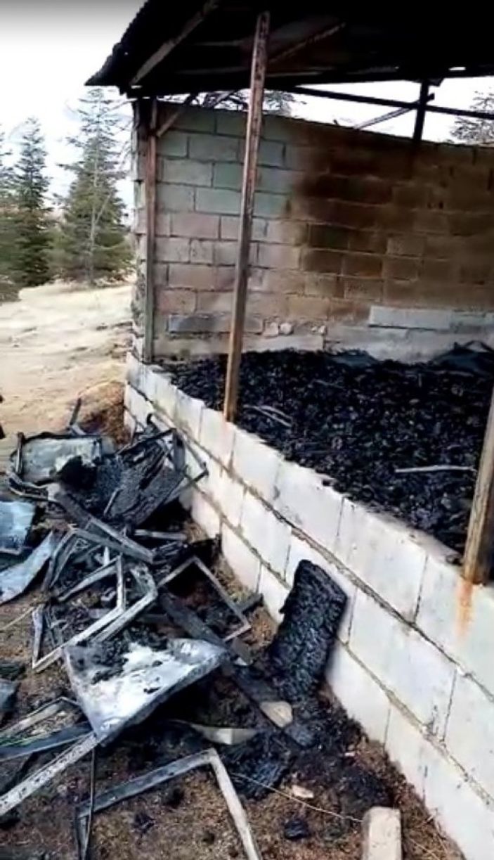 d Kahramanmaraş’ta 150 kovan yangında kül oldu