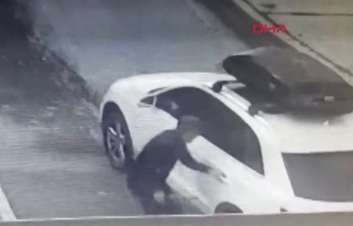 d Bakırköy'de iş insanına 6 köpek saldırdı