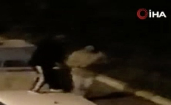 İstanbul'da pitbull saldırısına uğrayan kişi aracın üstüne çıktı