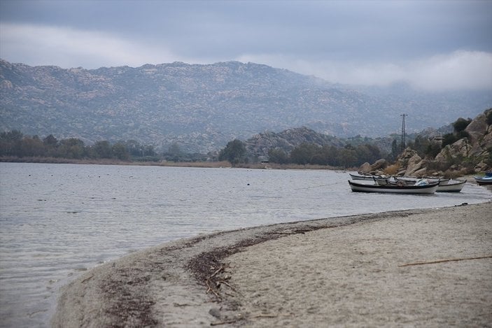 Yağışlar nedeniyle kendine gelen Bafa Gölü'nde bahar manzaraları