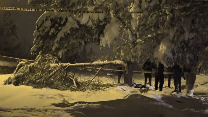 Karabük'te bir kişi ağacın altında ölü bulundu